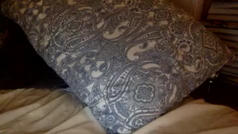 pea23 online show from 02-27-26, 11:38