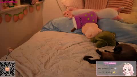 peachypeachgirl online show from 04-06-26, 04:46