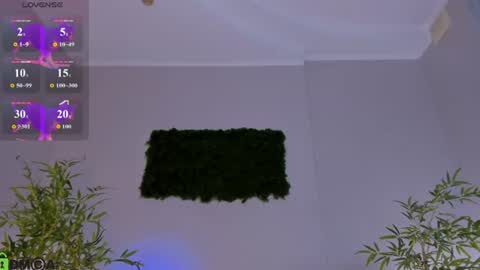 Snapshot of pearl_bloom chatting on 07-03-26, 12:17 Sex Leah online show from 07-03-26, 12:17