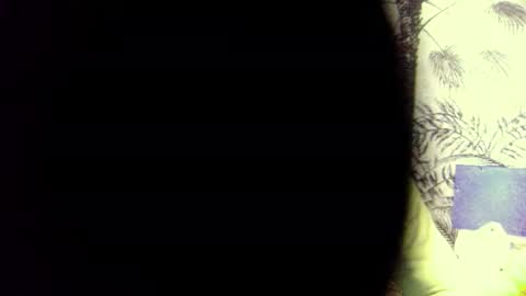 PedrOO OO online show from 12-03-24, 08:49