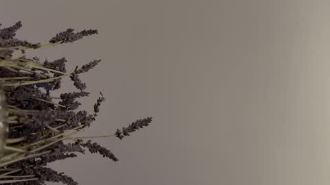 Snapshot of pegasus766152 chatting on 02-02-26, 01:48 pegasus766152 online show from 02-02-26, 01:48