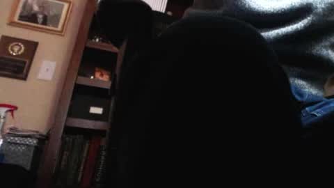 Snapshot of pem1650 chatting on 01-12-25, 10:54 pem1650 online show from 01-12-25, 10:54