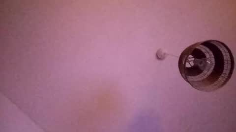 penesvoladores92 online show from 02-28-26, 01:39