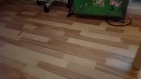 pepe_hard online show from 03-02-26, 06:58