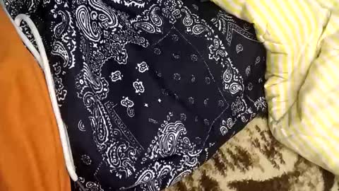 Snapshot of perdido4_20 chatting on 01-05-25, 02:08 perdido4_20 online show from 01-05-25, 02:08