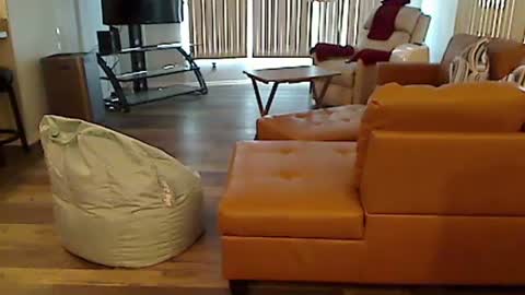 Snapshot of perfecto1957 chatting on 12-07-24, 07:10 perfecto1957 online show from 12-07-24, 07:10