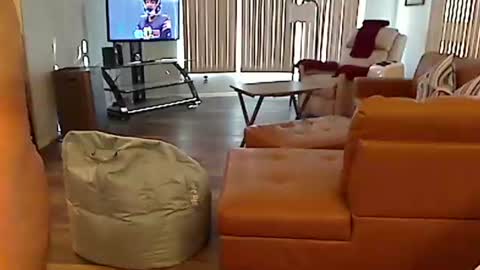 Snapshot of perfecto1957 chatting on 12-22-24, 08:03 perfecto1957 online show from 12-22-24, 08:03