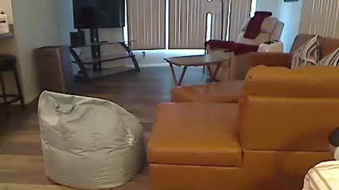 Snapshot of perfecto1957 chatting on 12-24-24, 03:58 perfecto1957 online show from 12-24-24, 03:58