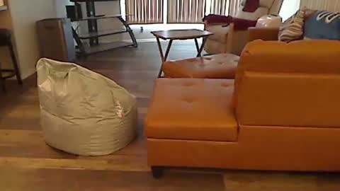 Snapshot of perfecto1957 chatting on 01-05-25, 04:48 perfecto1957 online show from 01-05-25, 04:48