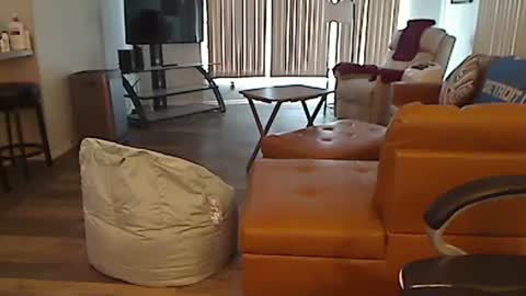 Snapshot of perfecto1957 chatting on 02-13-25, 04:39 perfecto1957 online show from 02-13-25, 04:39