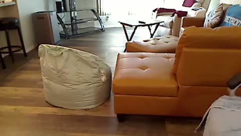 Snapshot of perfecto1957 chatting on 03-04-25, 02:21 perfecto1957 online show from 03-04-25, 02:21