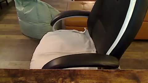 Snapshot of perfecto1957 chatting on 11-06-25, 03:46 perfecto1957 online show from 11-06-25, 03:46