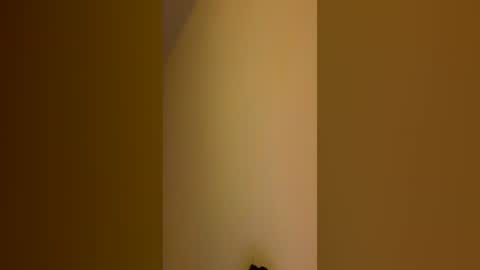 Snapshot of pete_mac chatting on 06-14-26, 11:23 Pete online show from 06-14-26, 11:23