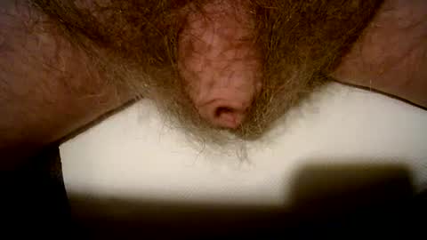 Snapshot of peterpeteropoulos chatting on 02-14-25, 09:10 peterpeteropoulos online show from 02-14-25, 09:10