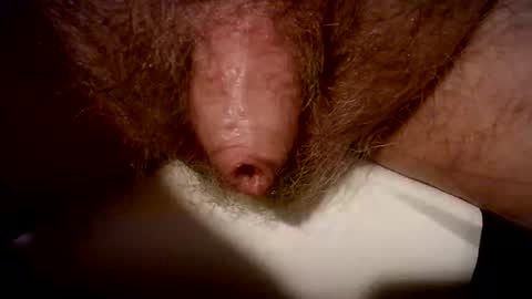 Snapshot of peterpeteropoulos chatting on 02-20-25, 07:41 peterpeteropoulos online show from 02-20-25, 07:41