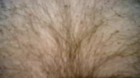 Snapshot of peterpeteropoulos chatting on 02-27-25, 07:37 peterpeteropoulos online show from 02-27-25, 07:37