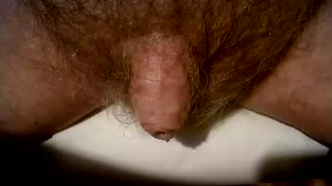 Snapshot of peterpeteropoulos chatting on 03-08-25, 09:08 peterpeteropoulos online show from 03-08-25, 09:08