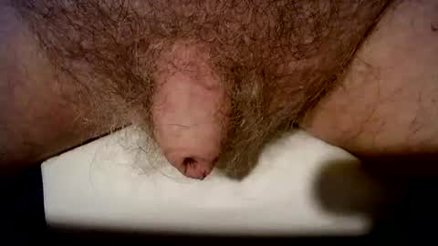 Snapshot of peterpeteropoulos chatting on 10-21-25, 06:41 peterpeteropoulos online show from 10-21-25, 06:41