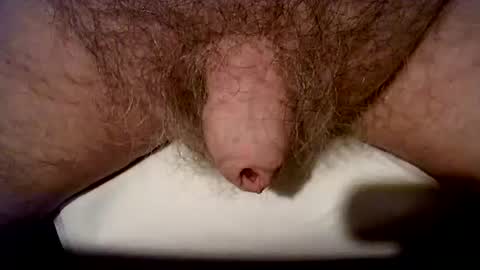 Snapshot of peterpeteropoulos chatting on 10-24-25, 06:37 peterpeteropoulos online show from 10-24-25, 06:37