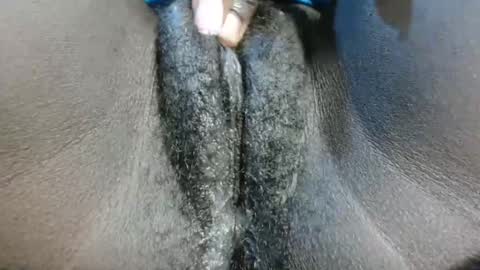 Snapshot of petiteme1 chatting on 01-21-25, 08:21 petiteme1 online show from 01-21-25, 08:21