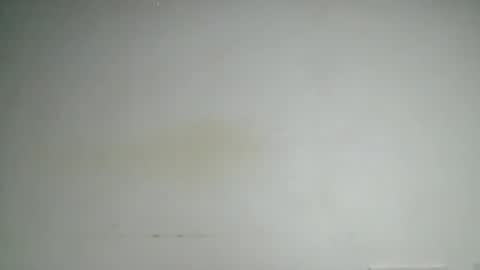Snapshot of petitgirl88 chatting on 06-24-26, 05:39 petitgirl88 online show from 06-24-26, 05:39