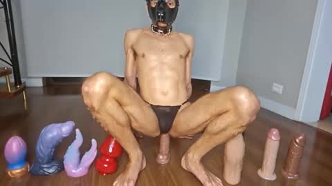 petsexboy online show from 06-10-26, 01:28