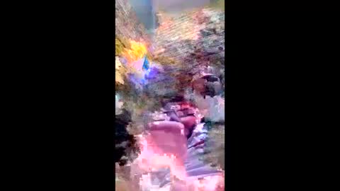 pezzabigcock online show from 02-17-26, 07:27