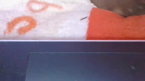 phania185885 online show from 05-08-26, 06:08