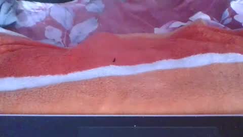 phania185885 online show from 05-10-26, 05:18