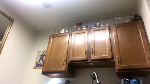 Phil online show from 02-02-25, 02:38