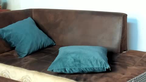 Snapshot of philip_dalton chatting on 01-28-25, 10:45 Philip Dalton online show from 01-28-25, 10:45