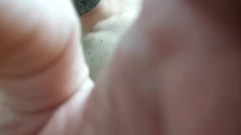 piacere39 online show from 12-09-24, 09:16