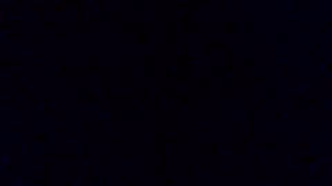 pickledalivemrf online show from 02-19-26, 03:46