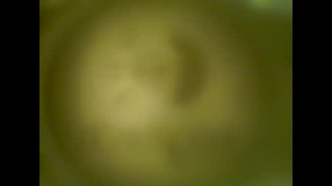 pierrecard1 online show from 10-13-25, 05:40