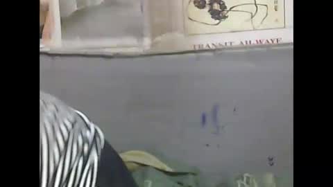 Snapshot of pierrette12345 chatting on 04-11-26, 06:34 pierrette12345 online show from 04-11-26, 06:34