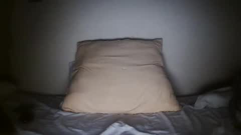 pieslatinos online show from 01-31-25, 04:14