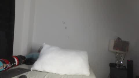 Snapshot of pikoro_gomez chatting on 03-05-25, 11:49 pikoro_gomez online show from 03-05-25, 11:49