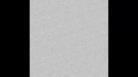 Privet online show from 03-21-26, 09:47