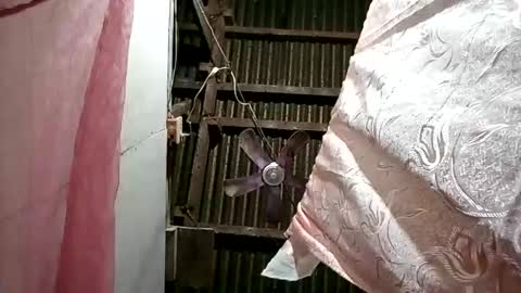 pinaybobs online show from 03-02-26, 08:48