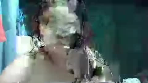 Snapshot of pinayhot_carol chatting on 06-14-26, 05:53 Carol online show from 06-14-26, 05:53