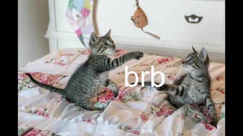 Snapshot of pink_girl0n chatting on 10-19-25, 08:42 Kitty online show from 10-19-25, 08:42