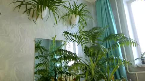 Snapshot of pink_light chatting on 02-11-26, 05:34 Tatyana online show from 02-11-26, 05:34