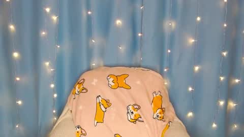 Pikachu pika online show from 01-13-25, 01:23