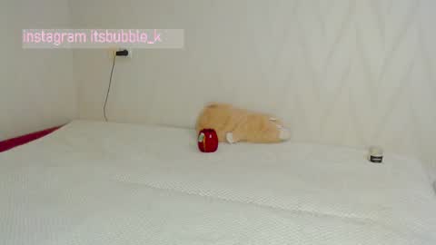 Pikachu pika online show from 03-04-25, 11:00