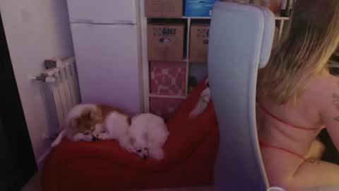 pinkladyx2 online show from 02-21-25, 06:48