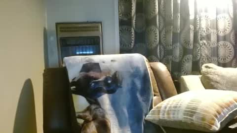 Snapshot of pirate334 chatting on 01-07-26, 11:29 pirate334 online show from 01-07-26, 11:29