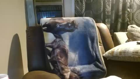 Snapshot of pirate334 chatting on 01-18-26, 04:38 pirate334 online show from 01-18-26, 04:38