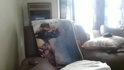 Snapshot of pirate334 chatting on 02-03-26, 08:47 pirate334 online show from 02-03-26, 08:47