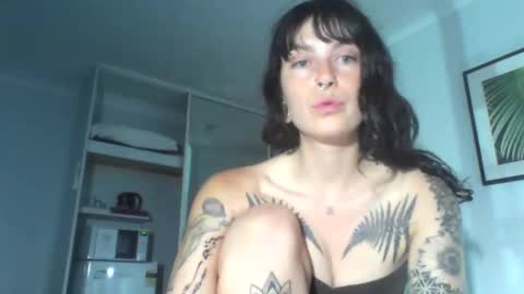 Snapshot of pixiecatfairy chatting on 12-04-25, 12:03 pixiecatfairy online show from 12-04-25, 12:03