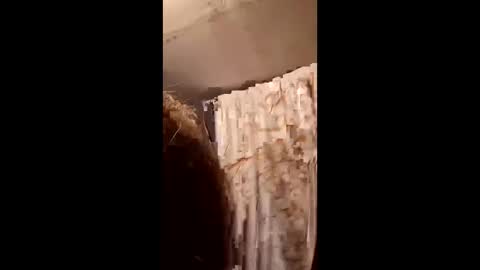 Snapshot of pizzedwife chatting on 02-04-26, 07:09 pizzedwife online show from 02-04-26, 07:09